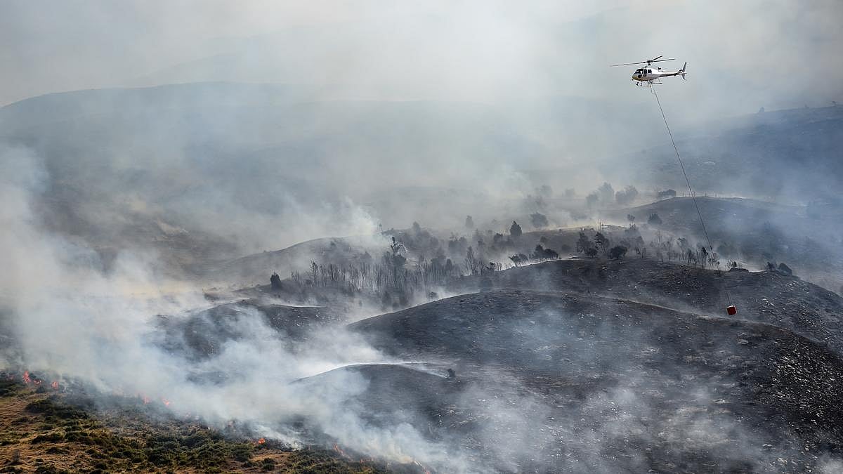 Wildfire Smoke Exposure Linked to Dementia Risk