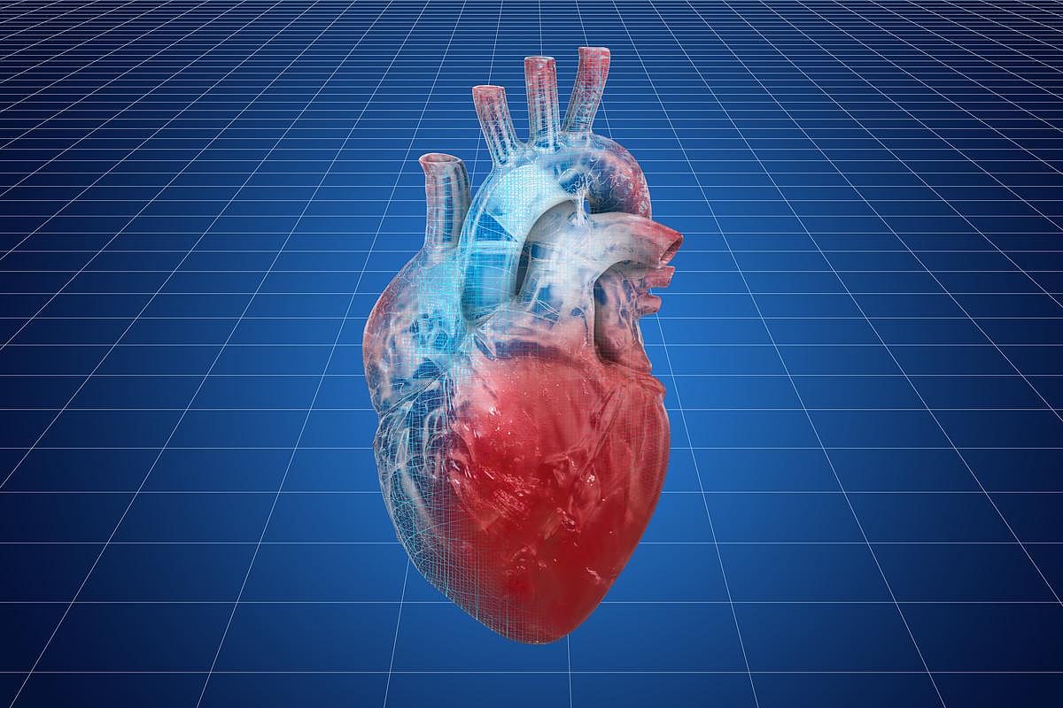 Gene Therapy Reverses Heart Failure in Pig Trials