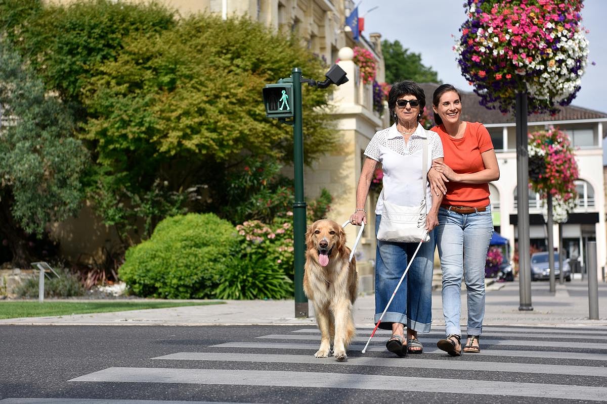 Faulty Genes Don't Always Lead To Vision Loss, Blindness