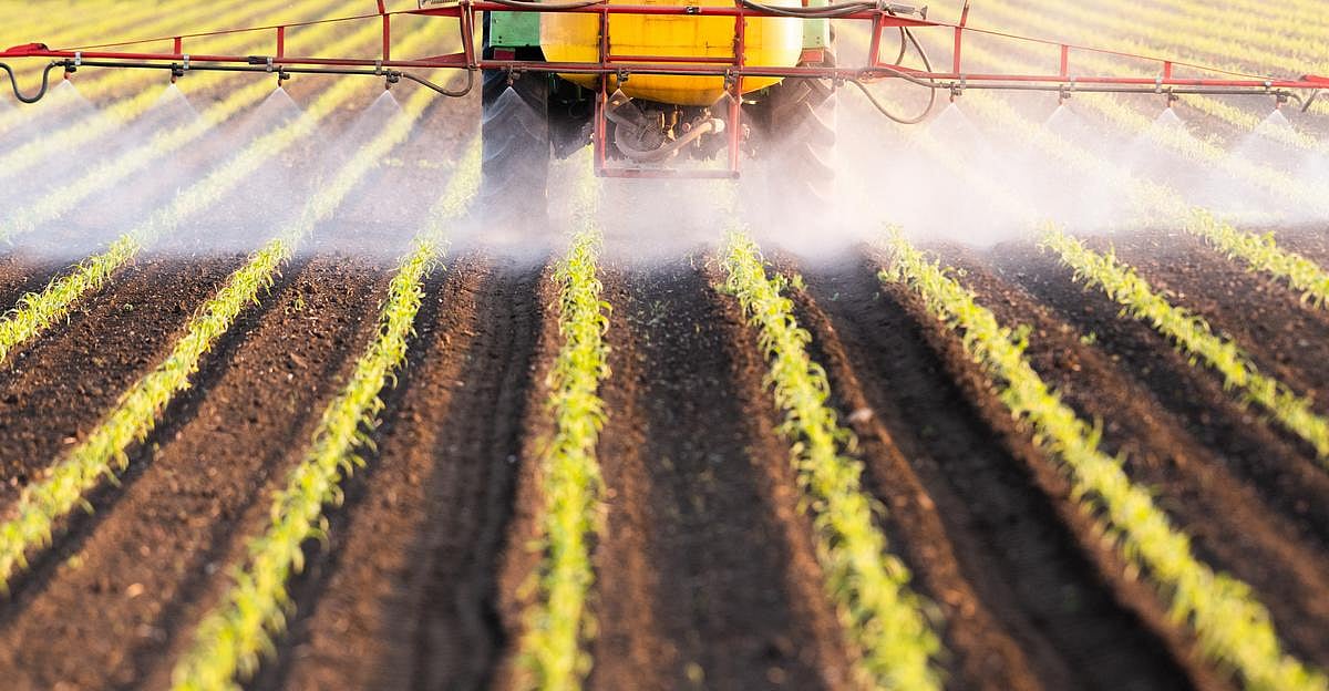 22 Pesticides Linked to Prostate Cancer Risk