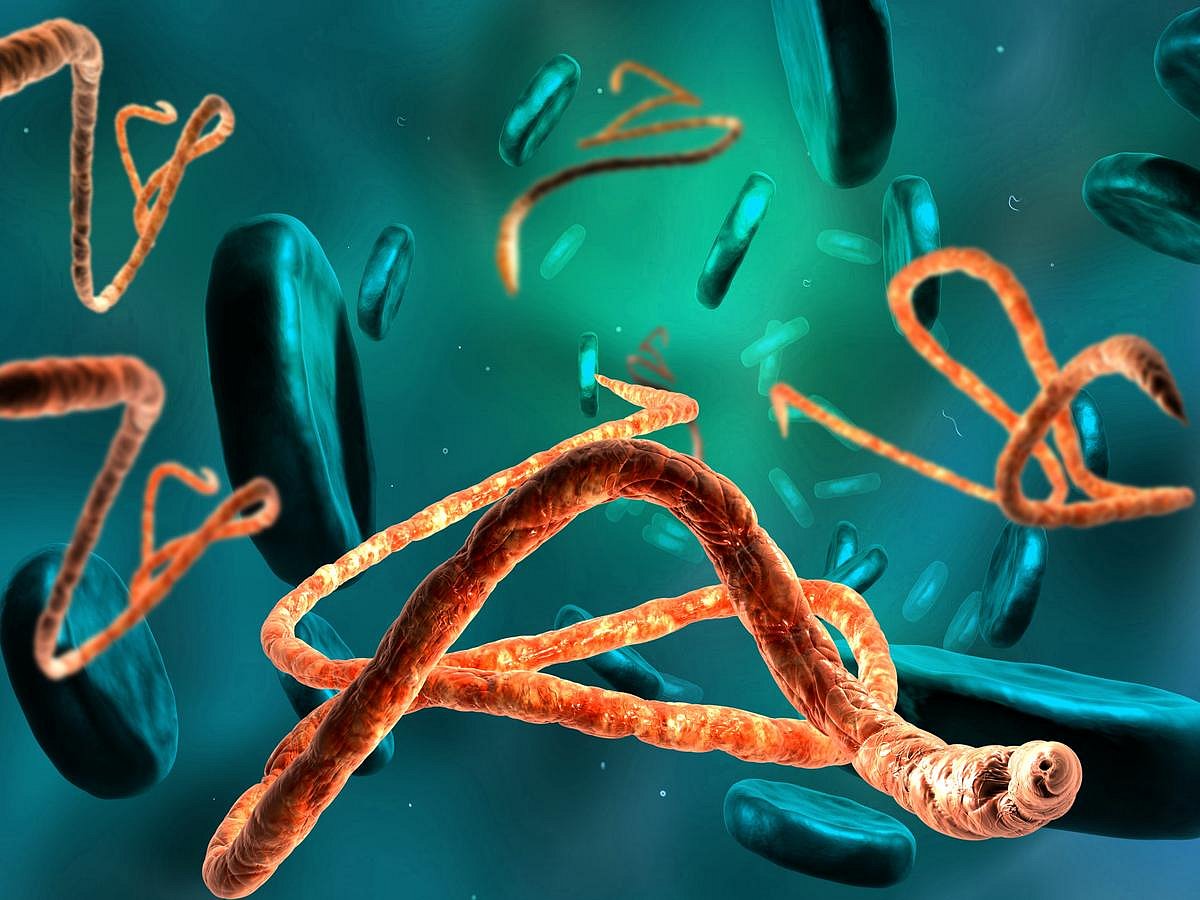 New Ebola Outbreak Declared in Congo