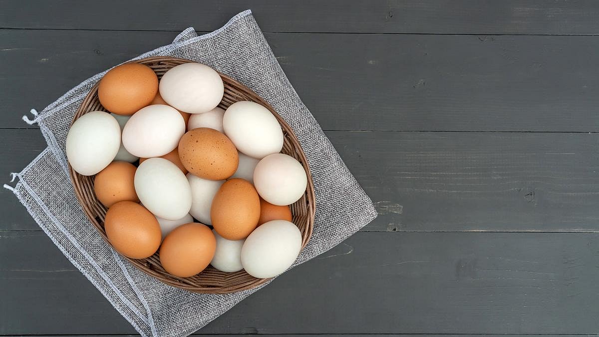 Bird Flu Outbreak Forces Culling of 100,000 Ducks, Threatening Last Duck Farm in Long Island
