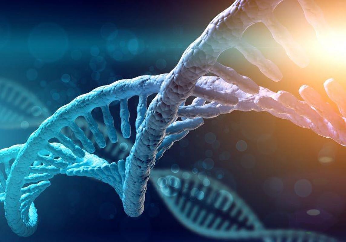 Could a Cheek Swab Predict When You Might Die?