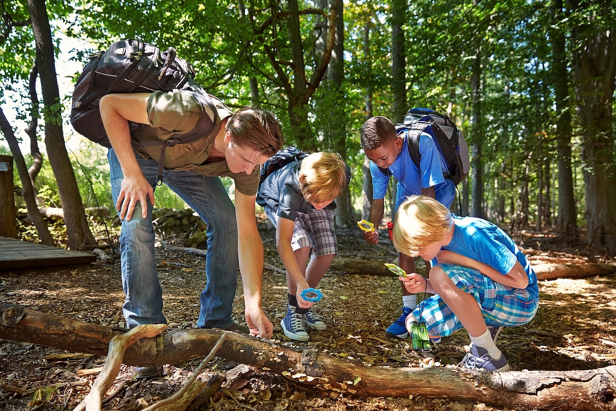 When Schools Give Kids Time in Nature, Anxiety and Behavior Issues Ease