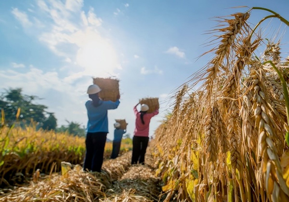 Global Warming's Heat Is Killing the World's Young