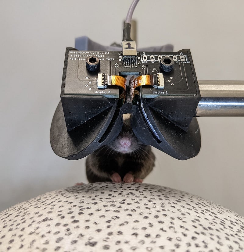 Mice Headsets Make it Easier to Study Brain Response to Virtual Realty