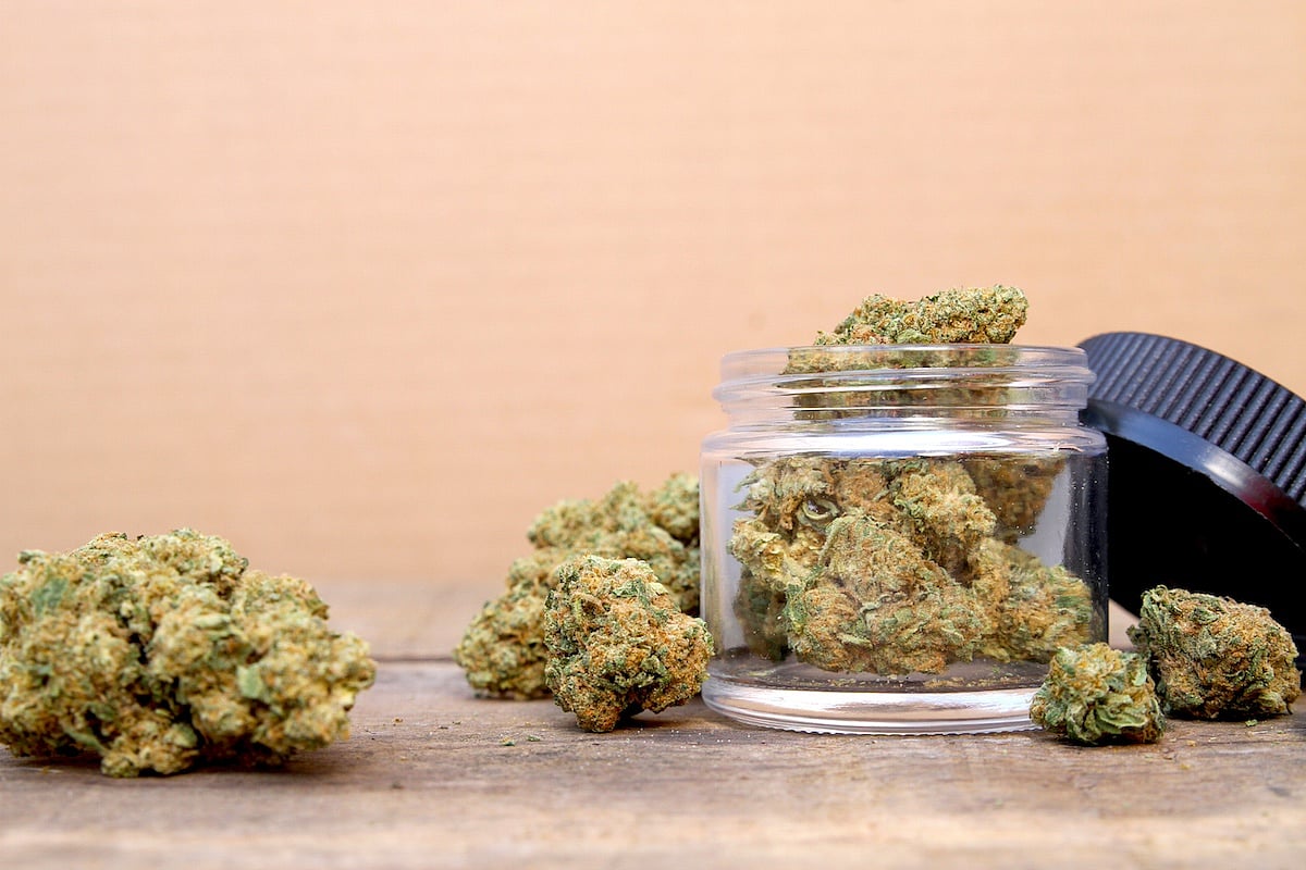 Study Links Heavy Cannabis Use To Higher Death Risk, Psychosis