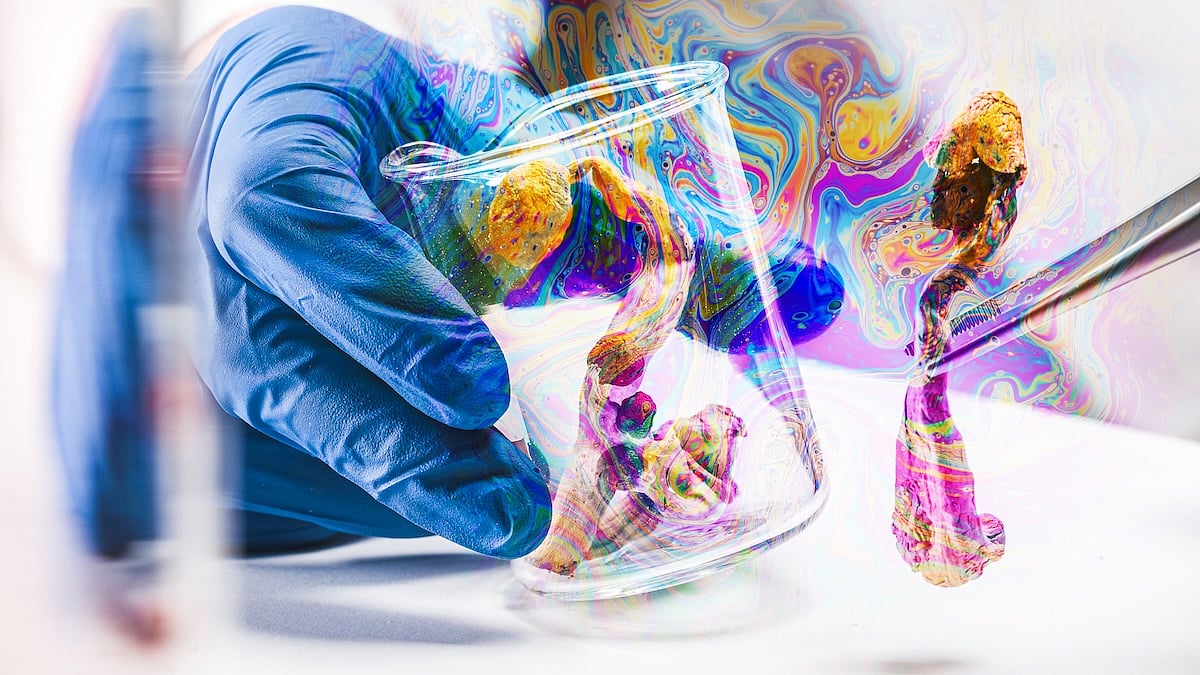 Death Risk Doubled For ER Patients On Psychedelics