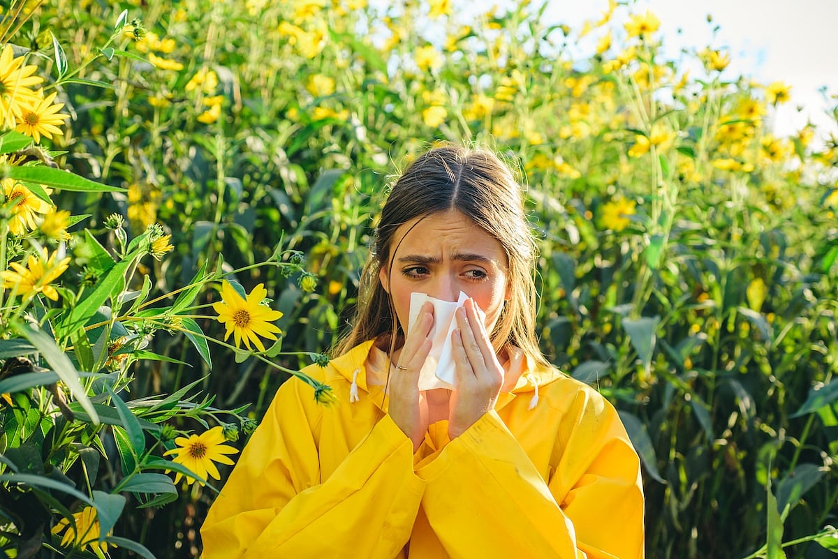 Seasonal Allergies Likely To Grow Worse Under Climate Change