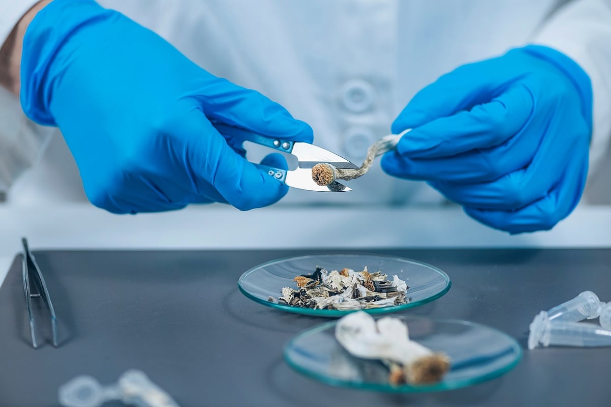 Psychedelic Compound Found in Magic Mushrooms May Ease Severe Depression in Cancer Patients