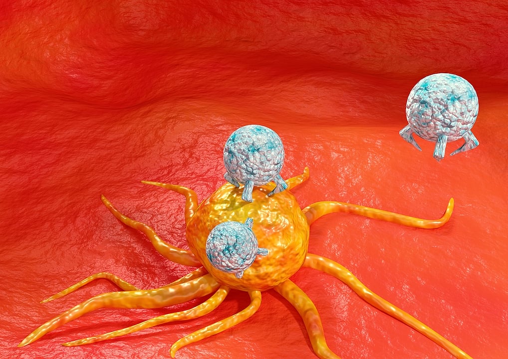 Insured? You're More Likely To Survive Cancer Through Immunotherapy Treatment