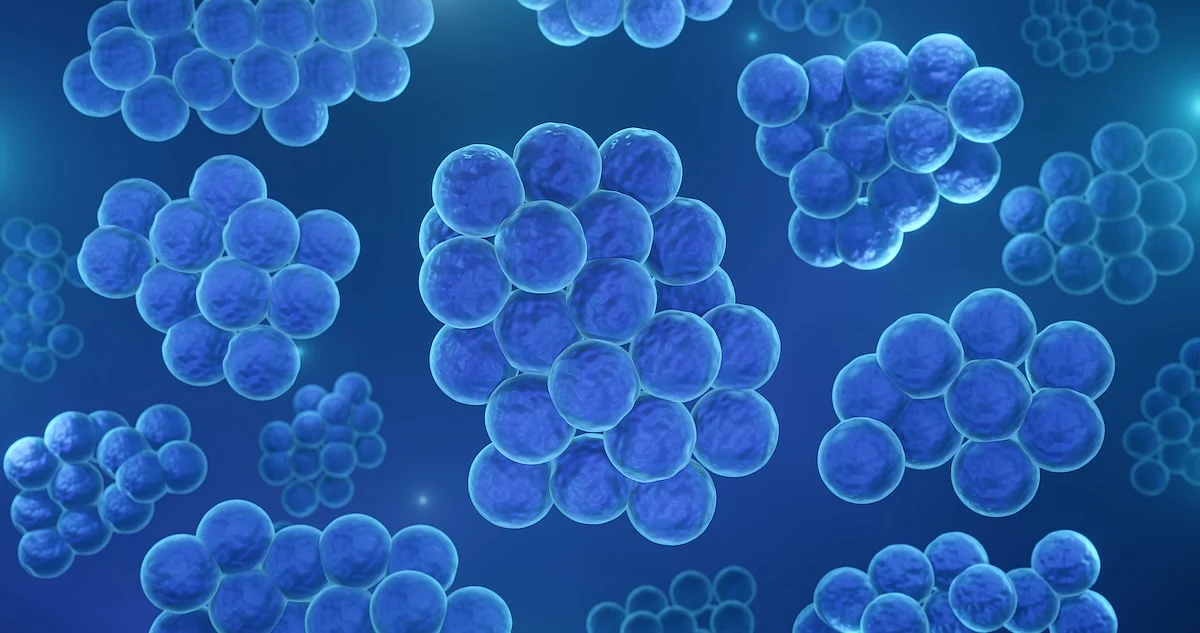 New Way to Treat Staph Infections