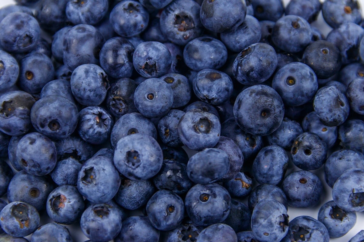 Frozen Blueberry Recall Issued Across Four States for Listeria