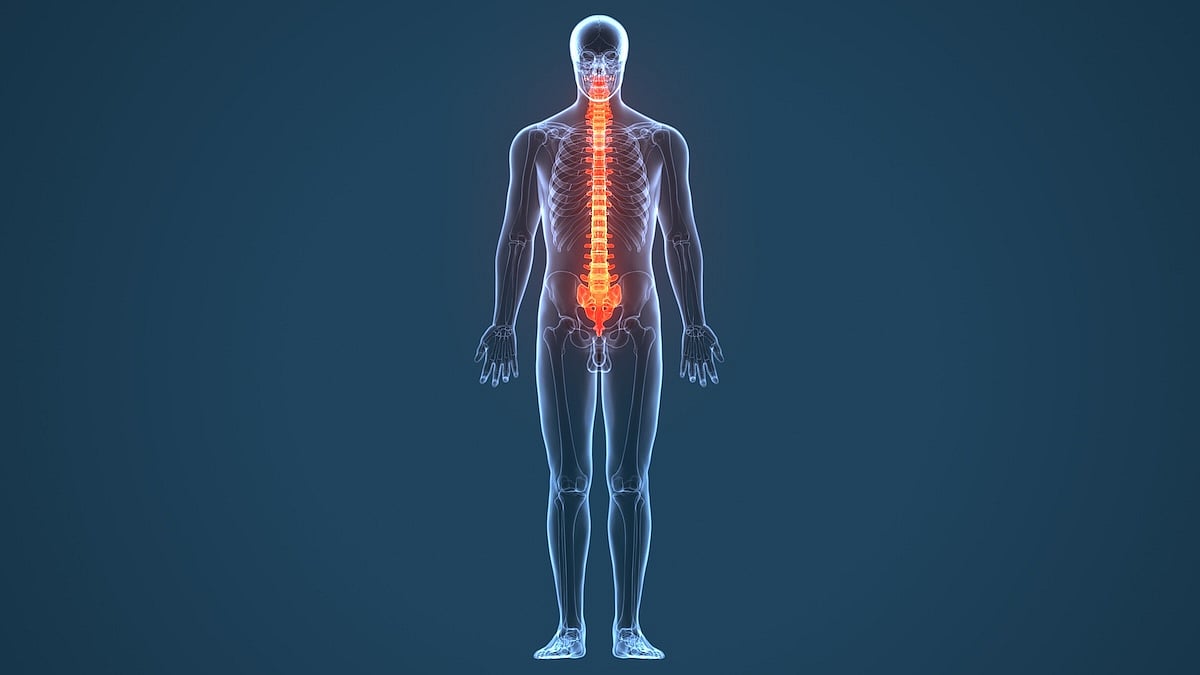 Electrodes Partially Restore Movement, Sensation In Spinal Cord Patients