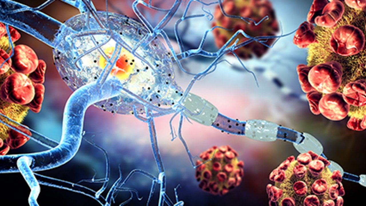 COVID Vaccine Won't Trigger MS Relapse: Study
