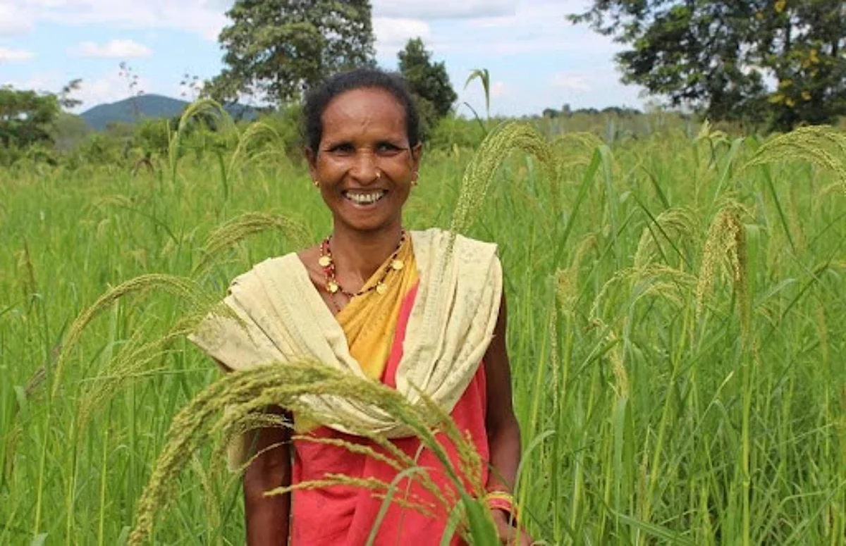 Health Benefits Of Millets: यूएन ने 2023 को ‘इंटरनेशनल ईयर ऑफ मिल्लेट्स’ घोषित किया