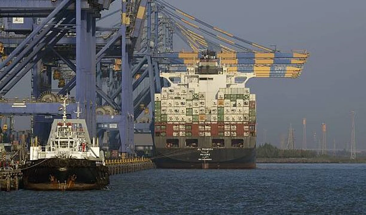 Adani Port News: Gautam Adani की कंपनी के शेयर ने छुआ आसमान, आज की टाॅप गेनर्स में है शामिल