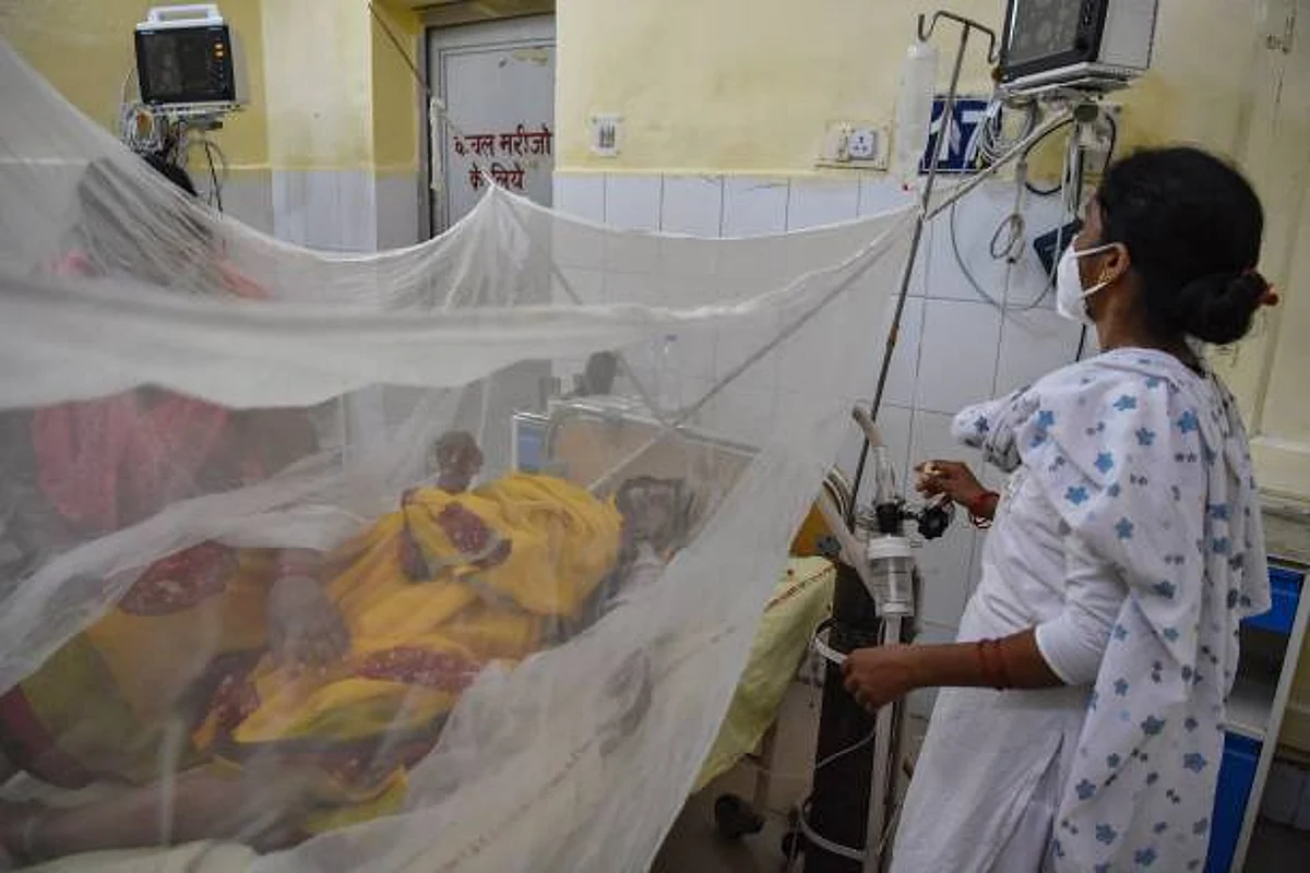 Dengue Cases: यूपी के जिलों में आई मामलों में तेज़ी, ताजा आंकड़े नहीं दे रहा स्वास्थ्य विभाग