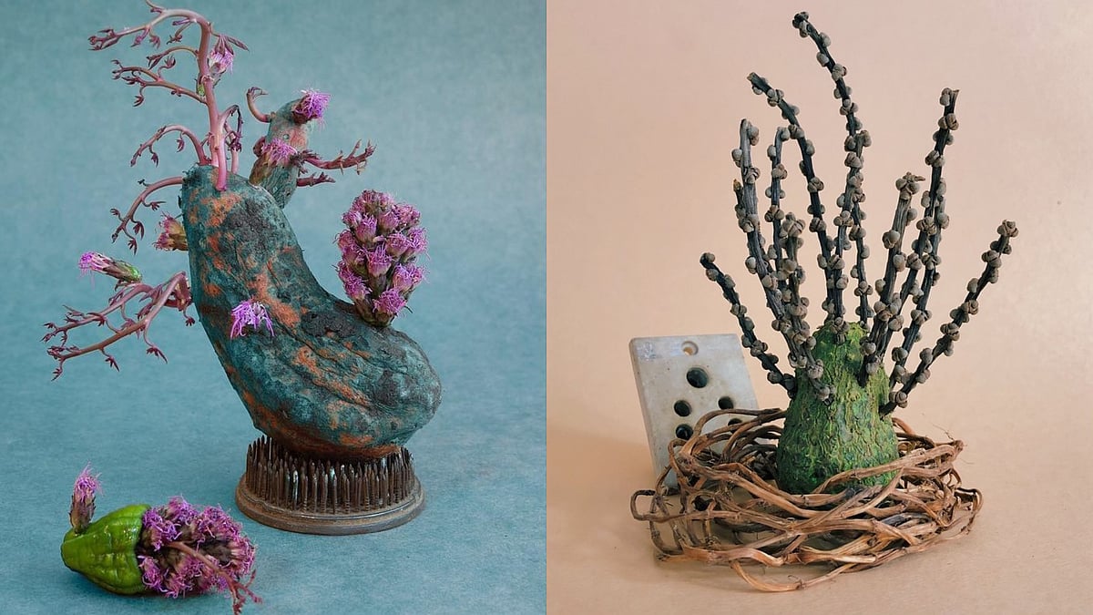 A Homegrown Art Series Reimagines Plants As Surreal Organic Sculptures