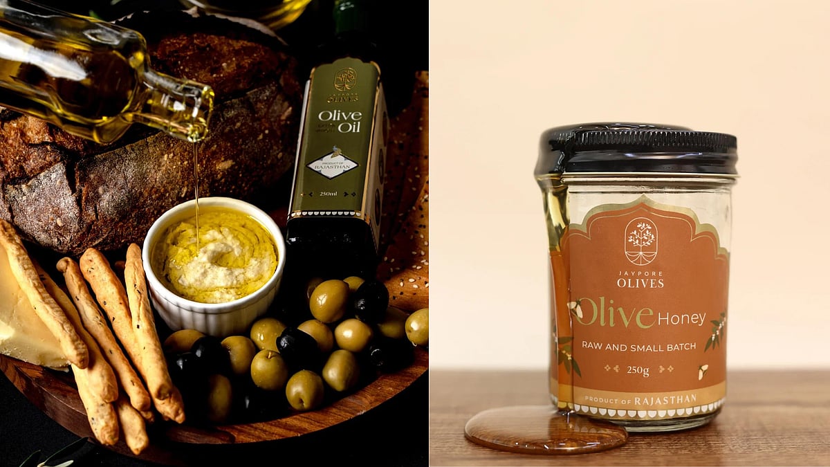 Jaypore Olives is A Homegrown Brand That Transforms The Olives ...