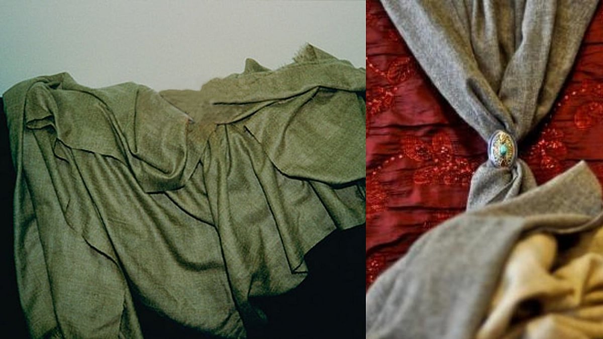 The Forbidden Fabric Uncovering Shahtoosh's History Homegrown