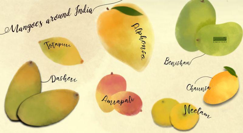 List Of Mango Types And Varieties Found All Over India