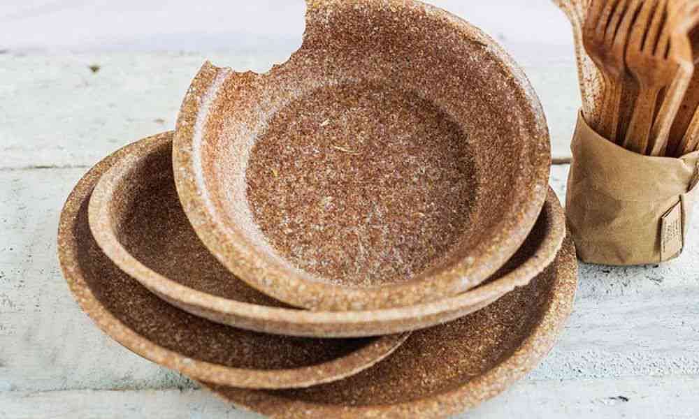 Three Indian companies promoting sustainability through ecofriendly