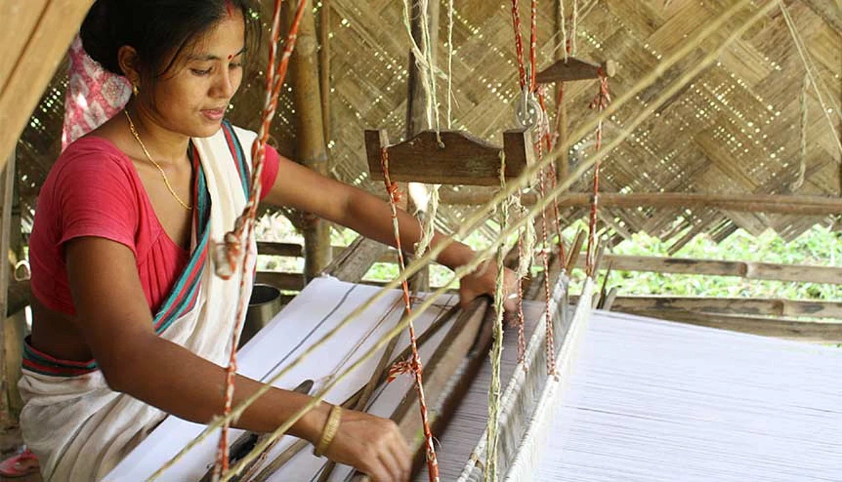 Investing in fighting climate change with silk weaves