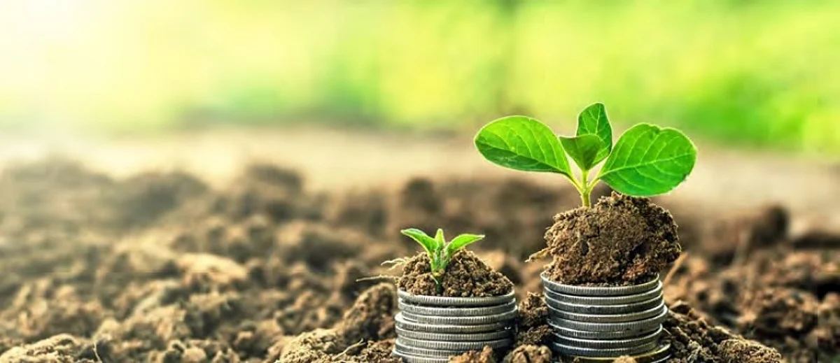 Companies eye socially responsible outcomes in India