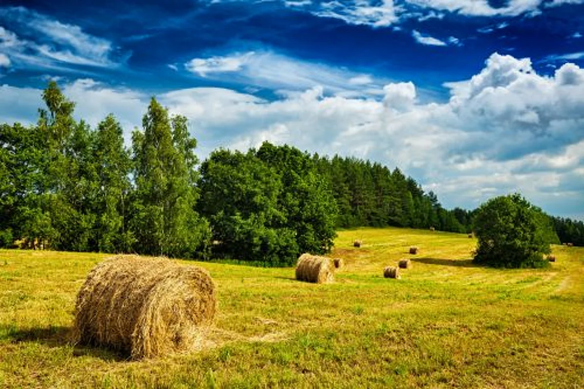 A tech-led reimagining of Indian agriculture