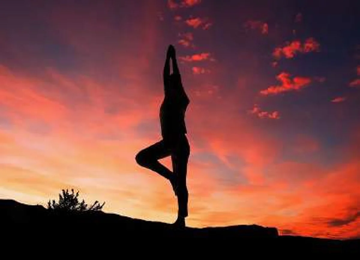 Towards a global quality standard for Yoga