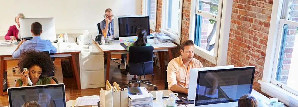 Sedentary work life, pain killers and therapy