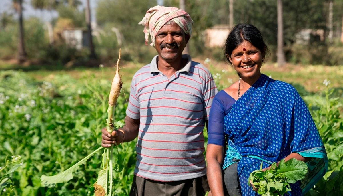 Four years of reforms and hard graft in India