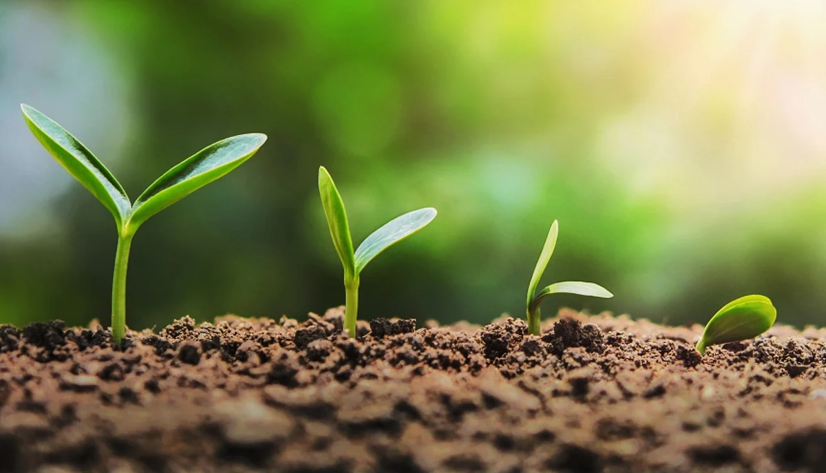 UK, India partner to advance clean cooling tech