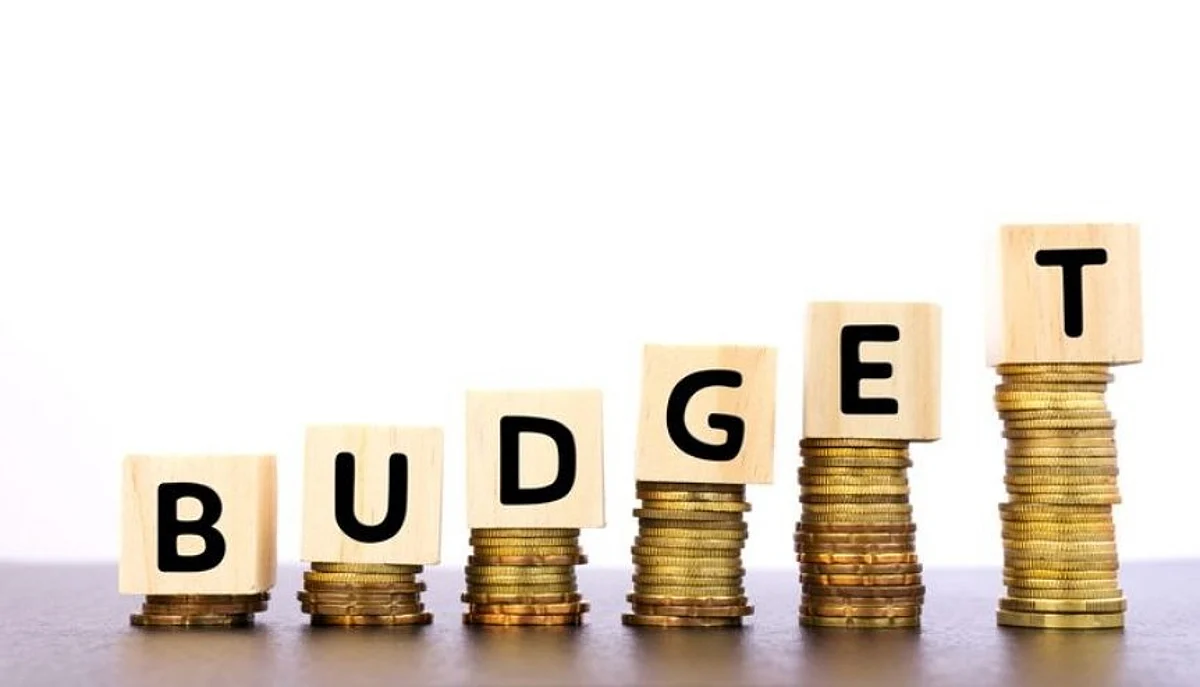 Sitharaman presents clean, green, realistic Budget