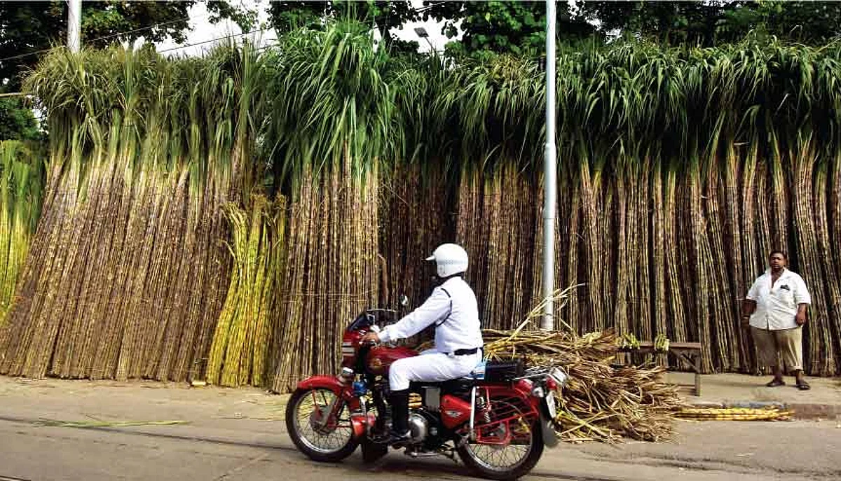 Indian sugar industry is posting sweet export numbers