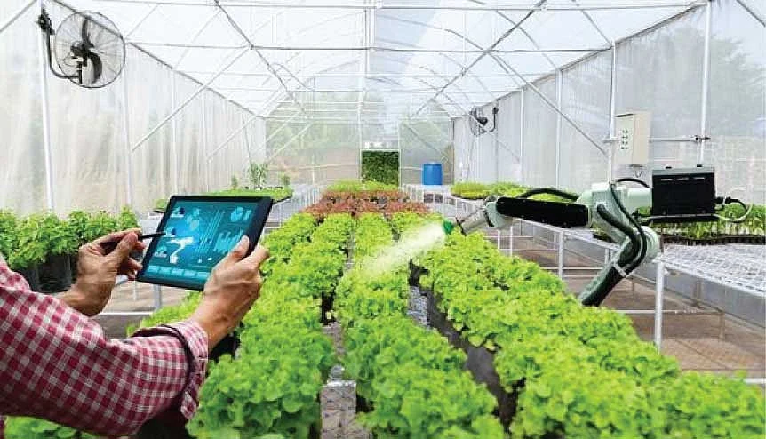 Digital applications can advise farmers on ways to achieve optimal harvests.