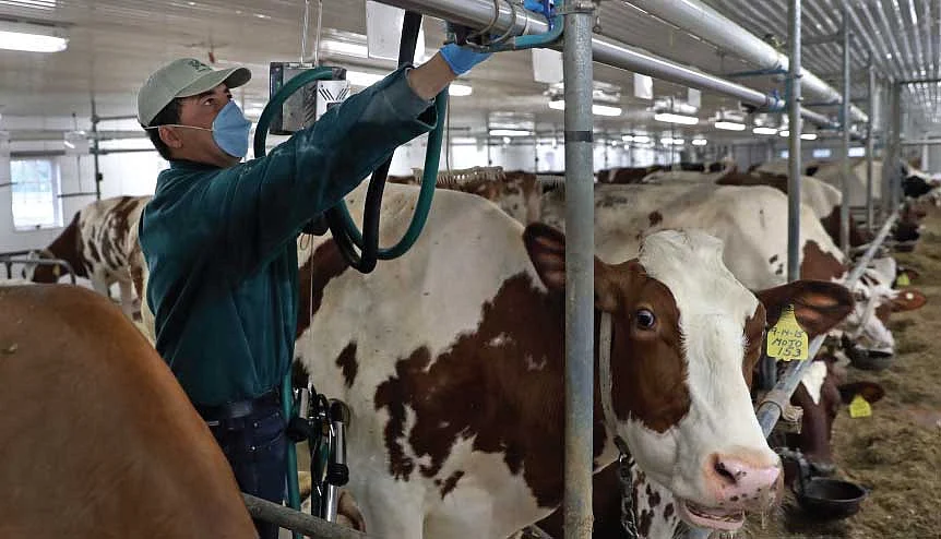 The US' long standing demand for greater market access for its farm and manufacturing products, dairy items and medical devices has been a big hurdle in pushing the FTA through.