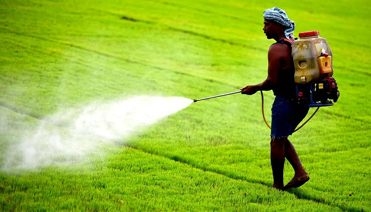 The government must ensure the well-being of the farmer and the consumer