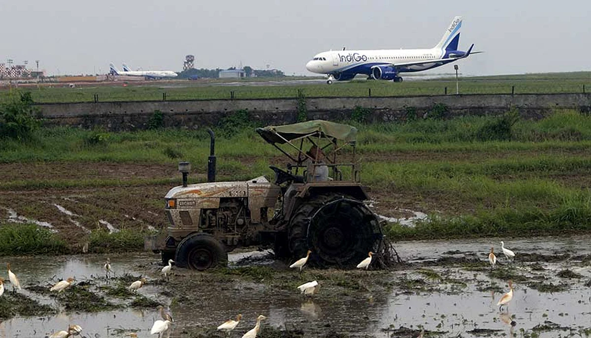 How India's agri-infra fund creates a bold future for farmers and entrepreneurs