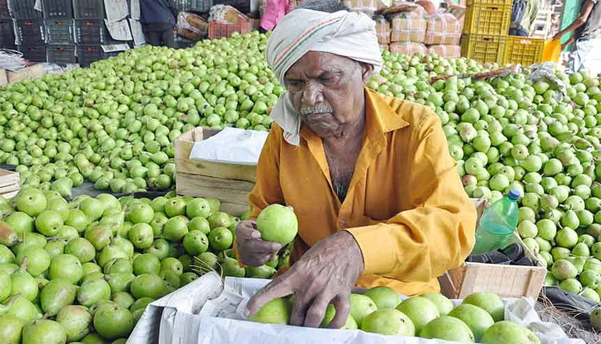 Connectivity makes the Indian farmer App-solutely successful
