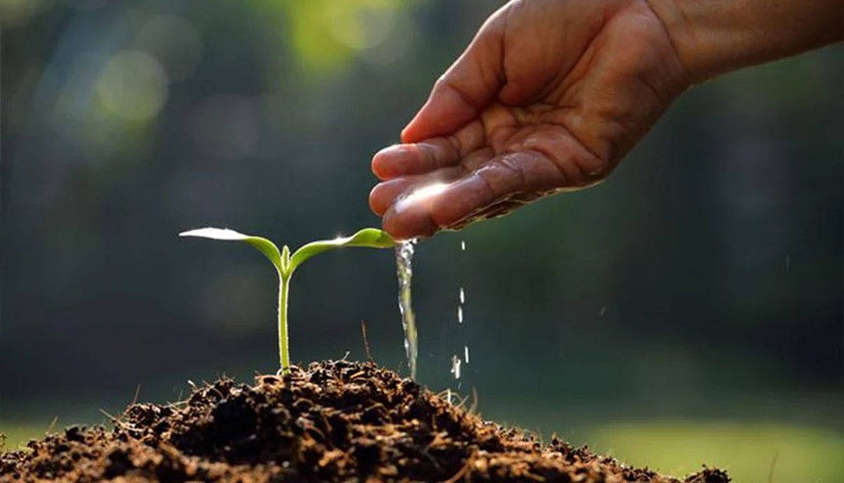 Indians more climate conscious than peers across the world says IET survey