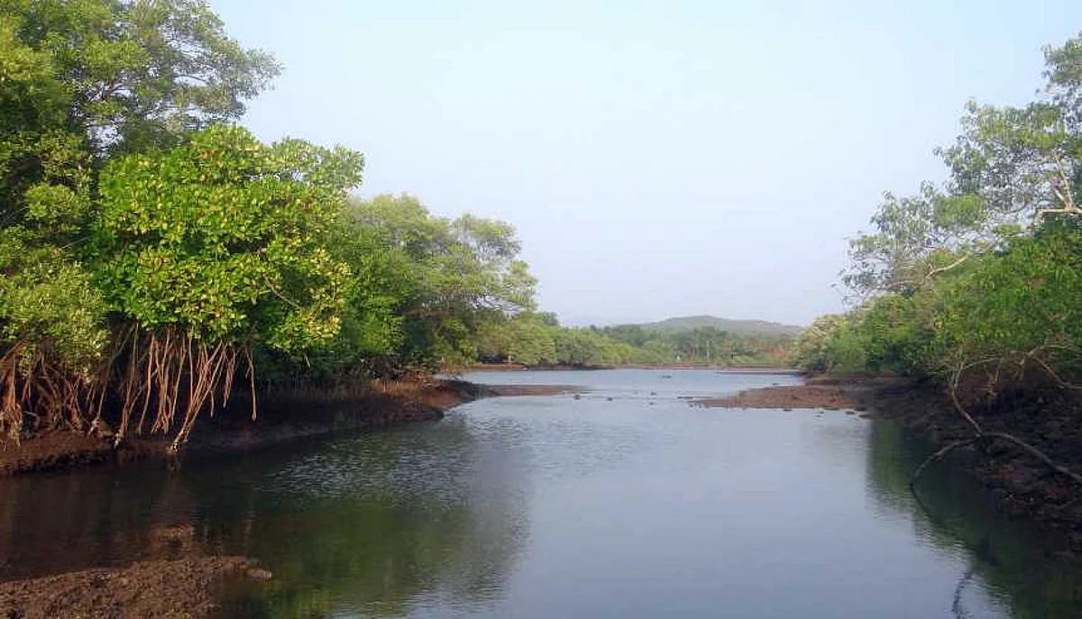 UK, India scientists collaborate on coastal sustainability project