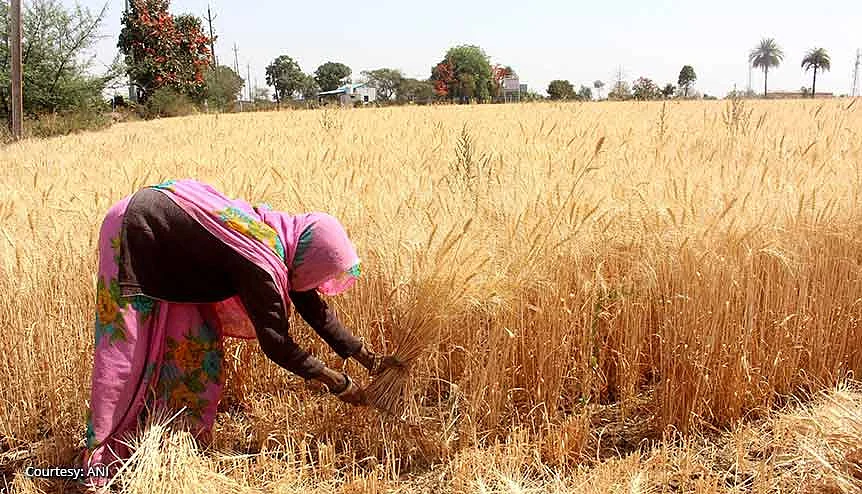 Reforms by the government were designed to empower the farmers and uplift the agricultural sector which has engineered a great economic turnaround in India.