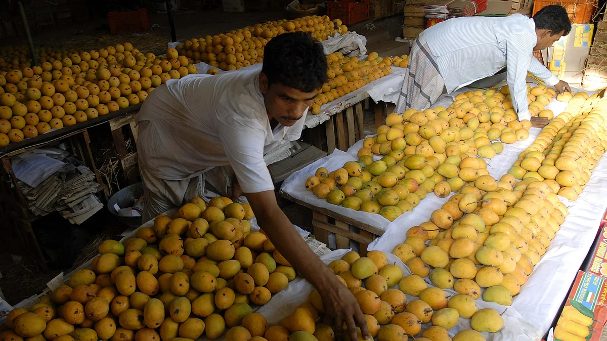 India recently shipped a consignment of 2.5 Metric Tonne of GI certified mangoes to South Korea, sourced from farmers in the Krishna and Chittor districts of Andhra Pradesh.