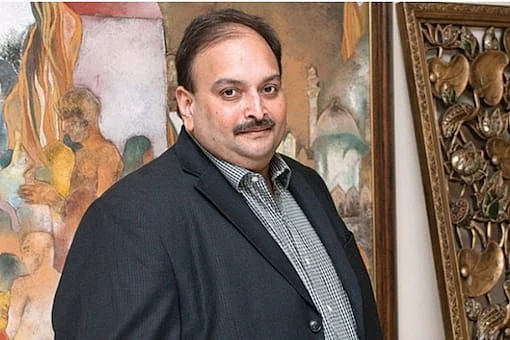 Mehul Choksi says his arrest 'dictated by Indian govt', moves Dominica court