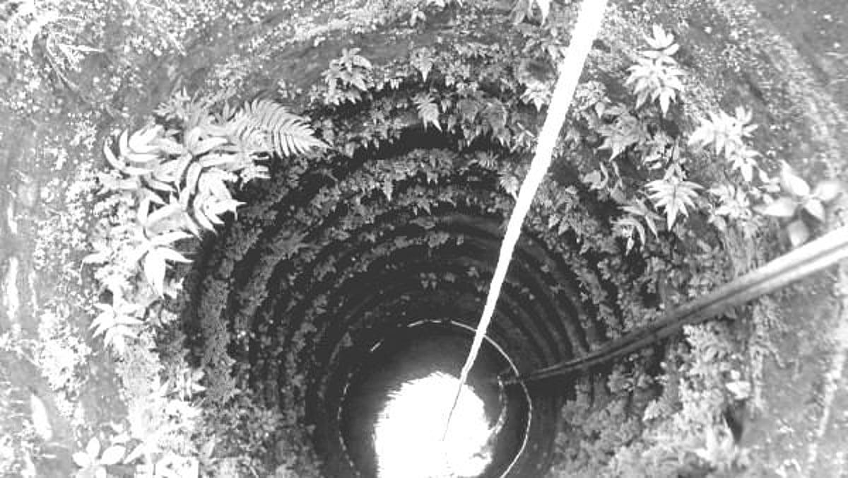 2 குழந்தைகளை கிணற்றில் வீசி கொலை.. அதே கிணற்றில் குதித்து தாயும் தற்கொலை : காரணம் என்ன?