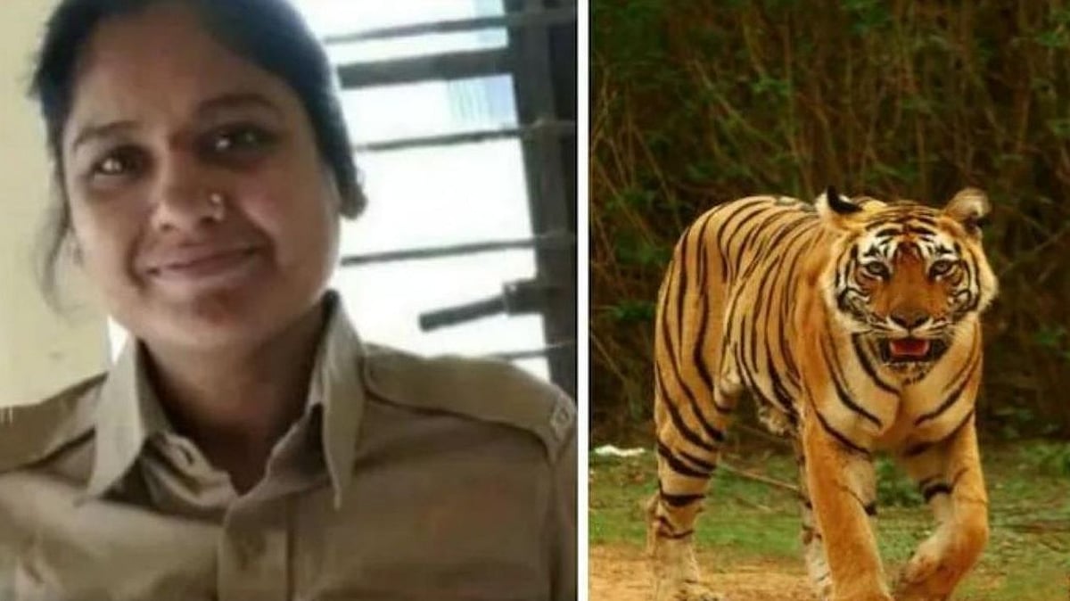 கணக்கெடுப்பின் போது பெண் வனக்காவலருக்கு நேர்ந்த சோகம்: நடுக்காட்டில் நடந்தது என்ன?