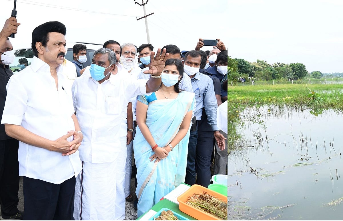“விவசாயிகளை கண் போல காப்போம்... விரைவில் நிவாரணம் வழங்கப்படும்” : முதலமைச்சர் மு.க.ஸ்டாலின் உறுதி!