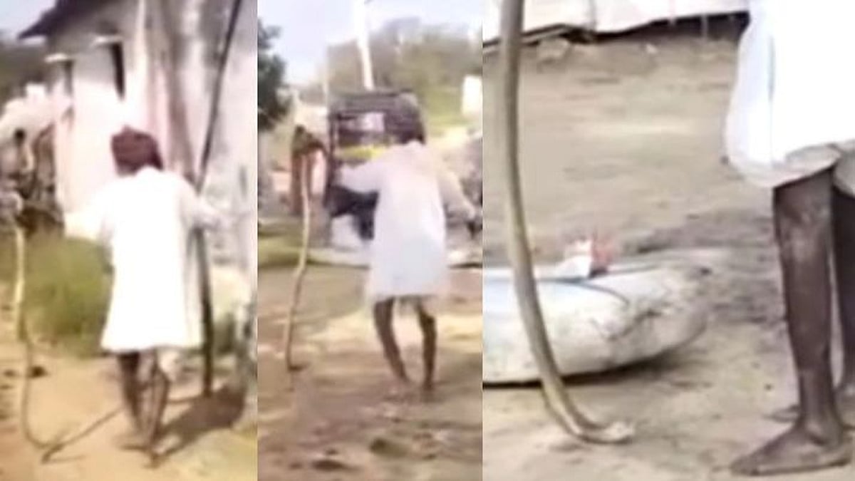 பிடிபட்ட பாம்பை வனத்தில் விடாமல் போதையில் கலாட்டா; கர்நாடகாவில் முதியவருக்கு நேர்ந்த கதி!